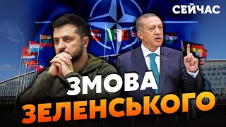 ☝️ГАЙДАЙ: Зеленський запропонує УГОДУ Ердогану! На кону ЧЛЕНСТВО в НАТО. У Туреччини є ІНТЕРЕС