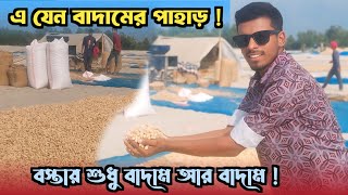 বাদামের পাহাড়ে ঘুরতেছি || আমাদের এলাকার কাছেই এত বাদামের চাষ হয় আগে জানতাম না || Jihad Sheikh ||