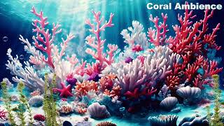 【フリーBGM】ハヤシユウ / Coral Ambience【30分耐久Ver.】