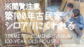 # 029 [ENG SUB] 100 YEARS OLD JAPANESE HOUSE DIY \u0026 SIMPLE LIVING - Termites Damaged Tatami Mats!