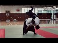 daito ryu aikijujutsu demonstration katsuura 2024