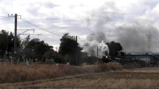 C61 SLおいでよ銚子号 試運転 Japanese Steam locomotive 2013