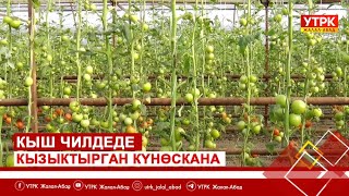 Кыш чилдеде кызыктырган күнөскана