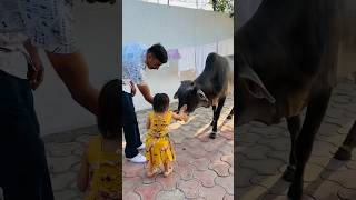 Wow mai cow ko roti khilaungi #cute #kids #baby #cow #cowvideos