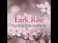 chapter 14.9 lark rise