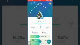 ポケモンGO❗️🌟ユキワラシのメスしかユキメノコに進化出来ないよ〜注意しよう(^^)