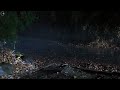 sleep instantly with the rain pouring down the road at night relieve insomnia rain sound asmr