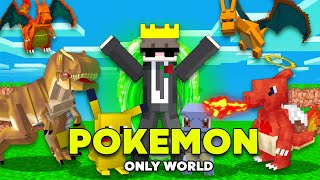 I Snuck into a 'POKEMON ONLY' Minecraft SMP...