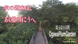 【静かなキャンプ場】OgawaPlumGardenに行って来ました【埼玉県小川町】