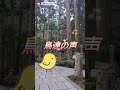 高野山　奥之院　茶瓶チャンネルチラ見せショート　 弘法大師 koyasan