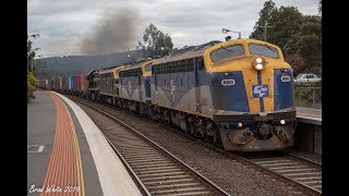 50+ year old EMD's on 9372 Deni rice plus G512 on 9342 at Seymour \u0026 Wandong- 1/8/19