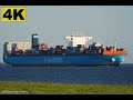 SAN NICOLAS MAERSK - Shipspotting Germany 🇩🇪 IMO 9622203 - River Elbe near City Otterndorf -4K VIDEO