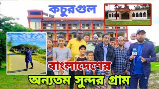 প্রকৃতির অনিন্দ্য সুন্দর বদলে যাওয়া কচুরগুলের গল্প🌹✅