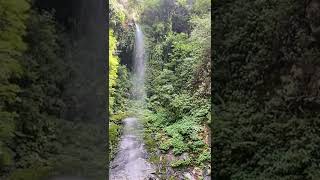 Happy International yoga day 🧘 yoga at Choi waterfall in Tirthan valley #mountains #waterfall