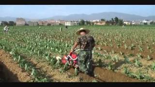 Nichino 日農牌 Hand tractor / Cultivator / Power tiller 中耕管理機 (850S)-6