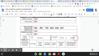 Instructions DNA Mutations Practice Worksheet