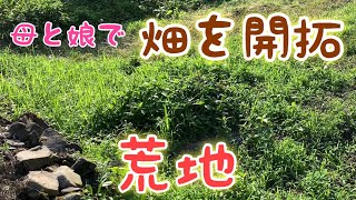 母が山の畑を開拓。いちから作る自給自足ライフ　シソの種まき　花の種まき　開墾　方法　手順　荒地　山　田舎