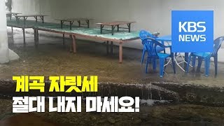 계곡에 평상 설치하고 음식 판 음식점 69곳 적발 / KBS뉴스(News)