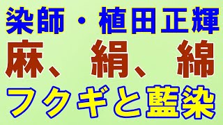 【染師・植田正輝】奄美大島の樹木植物で染めた糸