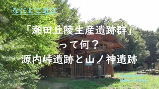 【なにどこ近江】瀬田丘陵生産遺跡群・源内峠遺跡と山ノ神遺跡《文化の淡海》