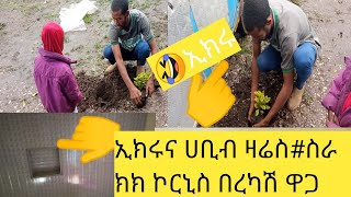 🤣ኢክሩ#እና ሀቢብ#ኮርኒስ#በምርጥ#ዋጋ@yetenbitube1 @BrexHabeshawi @amihabeshawit @emantube1007