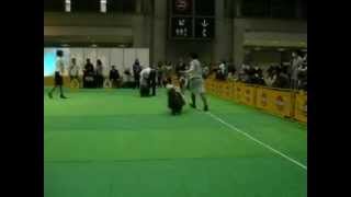 2012.03.31　ジャパン・インター2012 Beardie dogshow 2