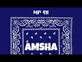 Mr 411-AMSHA (Official Audio)