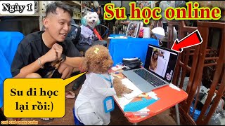 NGÀY THỨ 1: SU-BÔNG-MIU HỌC ONLINE THÌ BỊ CÚP ĐIỆN | CHÚ CHÓ ĐI HAI CHÂN