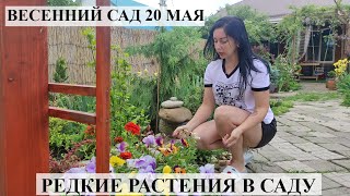 Багданисвета Новые Серии 2022 Года Багданисвета Новые Серии 2022 Года