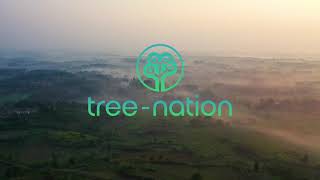 Welcome to Tree-Nation