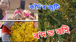 ৰ'দ ত মজা লাগে ।।। time pass // এয়াই আমাৰ ফূৰ্তি