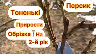 Обрізка персика на другий рік після посадки із тоненьким приростом