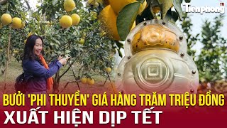 Bưởi 'phi thuyền' giá hàng trăm triệu đồng xuất hiện dịp Tết