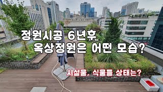 정원시공 6년 후 데크, 화단, 식물 상태는? /정원/조경/