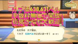 カブ価638ベル、614ベル、ウリ91ベルを無償開放！ 往復OK！初見さん大歓迎！ 【あつまれどうぶつの森】【ライブ配信】