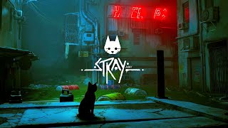 猫と彷徨う【Stray】