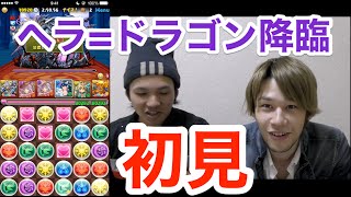 【パズドラ】ヘラドラはセレス降臨！？完全初見でヘラドラに挑戦！！