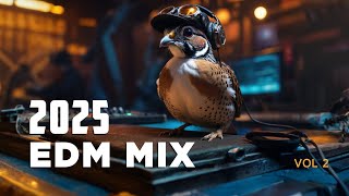 EDM Vol 2 MIX 2025 | Perepel AI Music