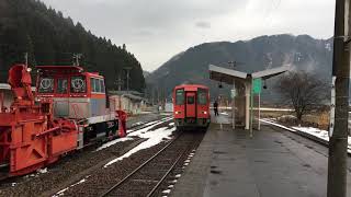 越美北線美山駅730D到着