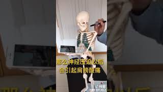 为什么不可以长时间低头看手机?