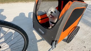 Adorable Dog LOVES Ride On VEVOR Dog Bike Pet Trailer ✅ REVIEW