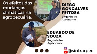 Os efeitos das mudanças climáticas na agropecuária.