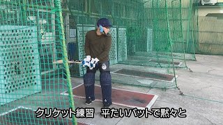 【ぐるっとわがまち】広島市西区南観音５丁目　バッティングセンター