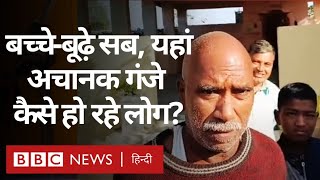 Hair loss: Maharashtra के इस गांव के लोगों के बाल अचानक क्यों झड़ने लगे? (BBC Hindi)