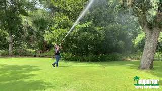 Tree Moss Spraying \u0026 Moss Removal | Superior Spray Service, Inc. Tree Care