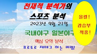 중승부 싹 다 올킬ㅅㅅㅅ9월 21일 축구 국내야구 일본야구 배구 축구 분석[천재적 분석가의 프로토 재테크] 타고난분석가