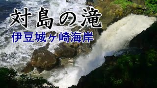 【歩き旅】海に落ちる滝　対島（たじま）の滝　伊豆城ヶ崎海岸