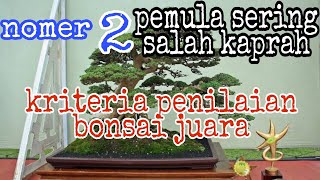 pemula harus tahu !! Kriteria penilaian kontes bonsai