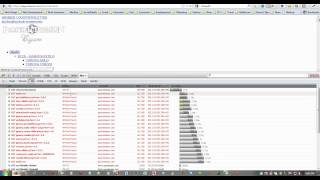 How to Check for JAVA Script Errors Using FireBug