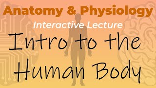 Anatomy & Physiology - Intro to the Human Body - Interactive Lecture